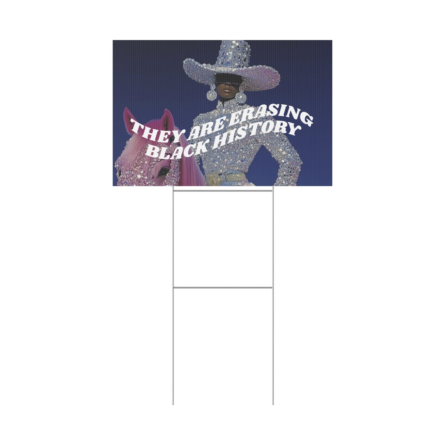 THEY ARE ERASING BLACK HISTORY PROTEST SIGN