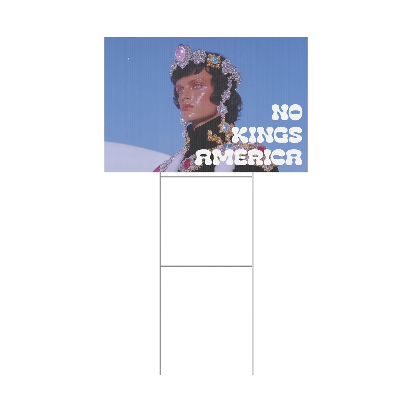 NO KINGS PROTEST SIGN