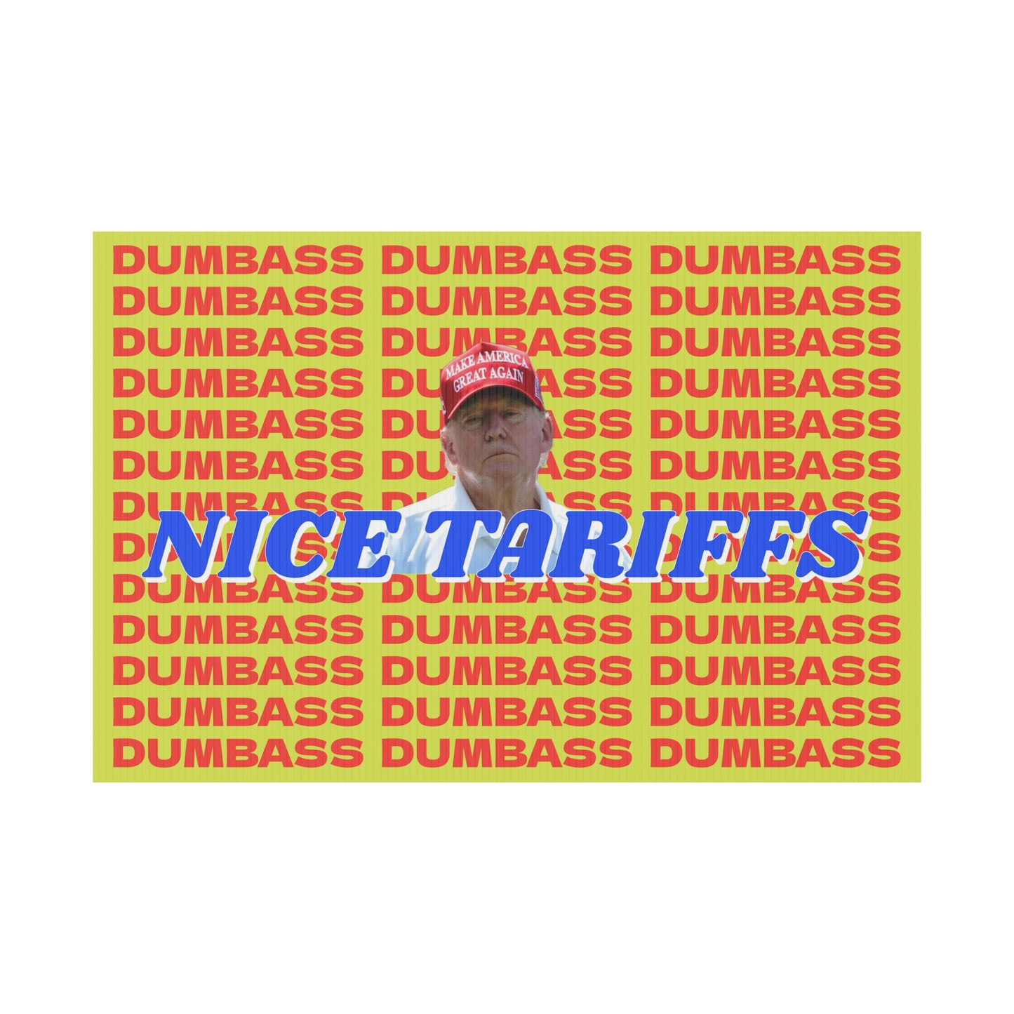 NICE TARIFFS DUMBASS PROTEST SIGN