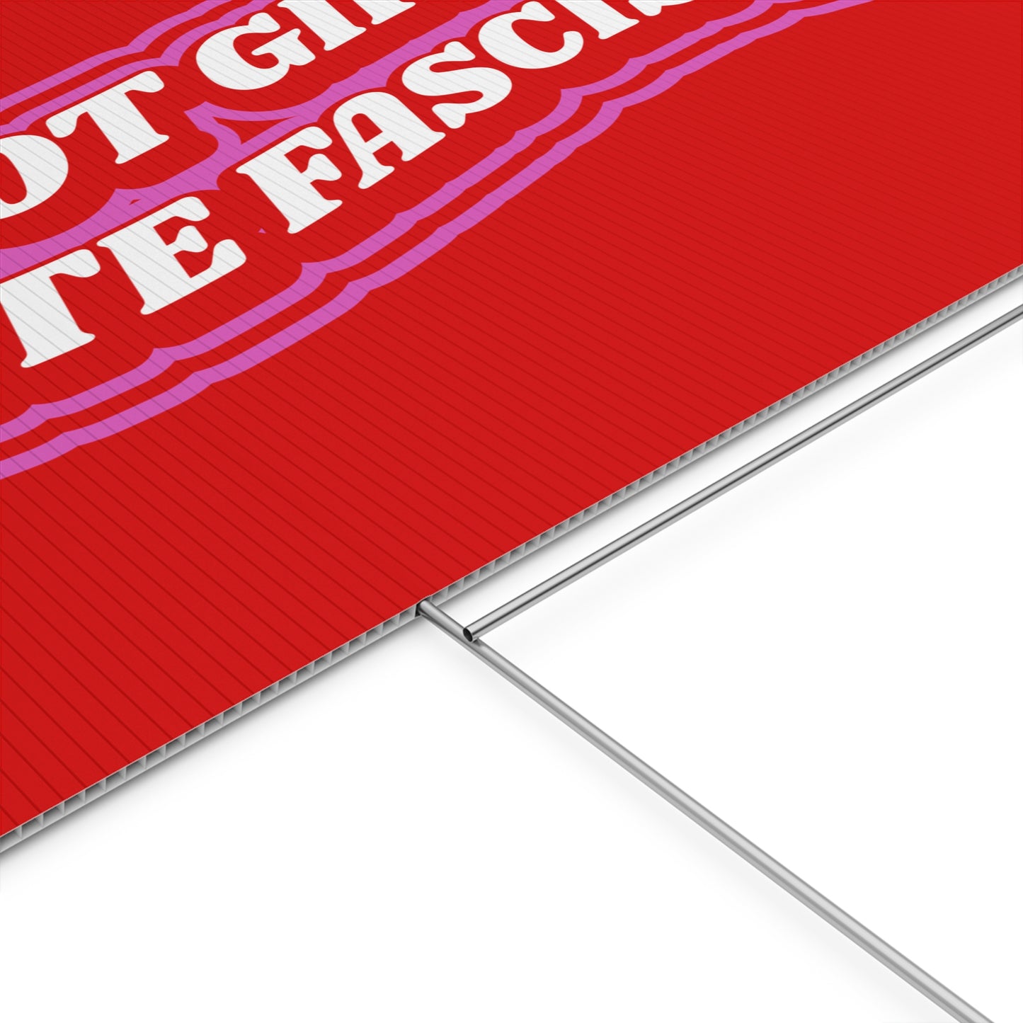 HOT GIRLS HATE FASCISTS PROTEST SIGN
