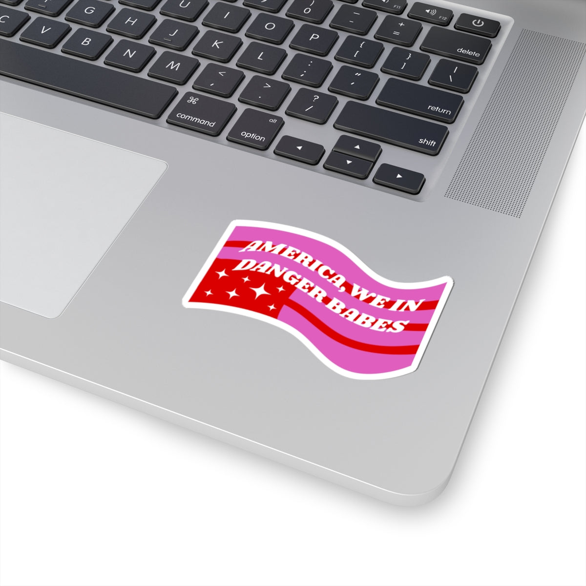 WE IN DANGER BABES STICKER