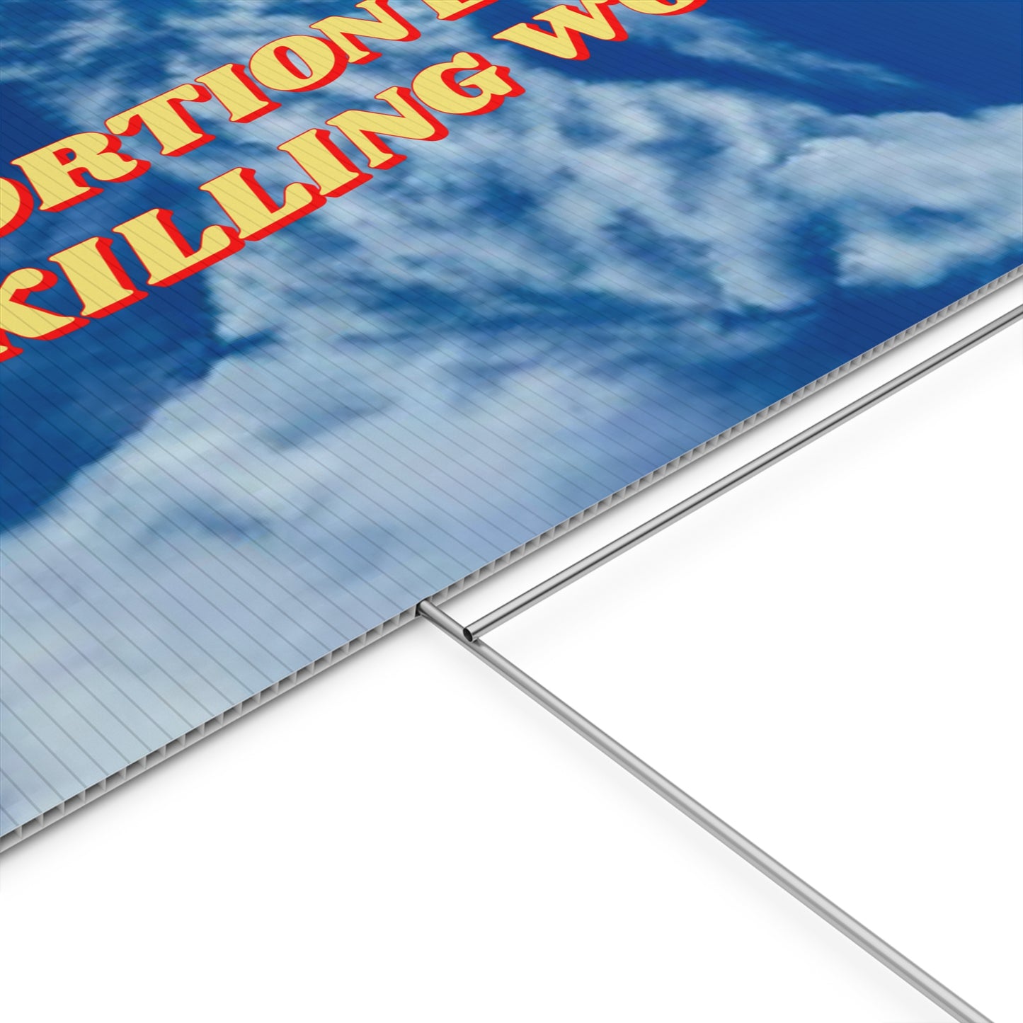 ABORTION BANS ARE KILLING WOMEN PROTEST SIGN