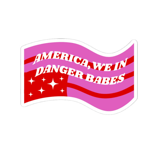 WE IN DANGER BABES STICKER