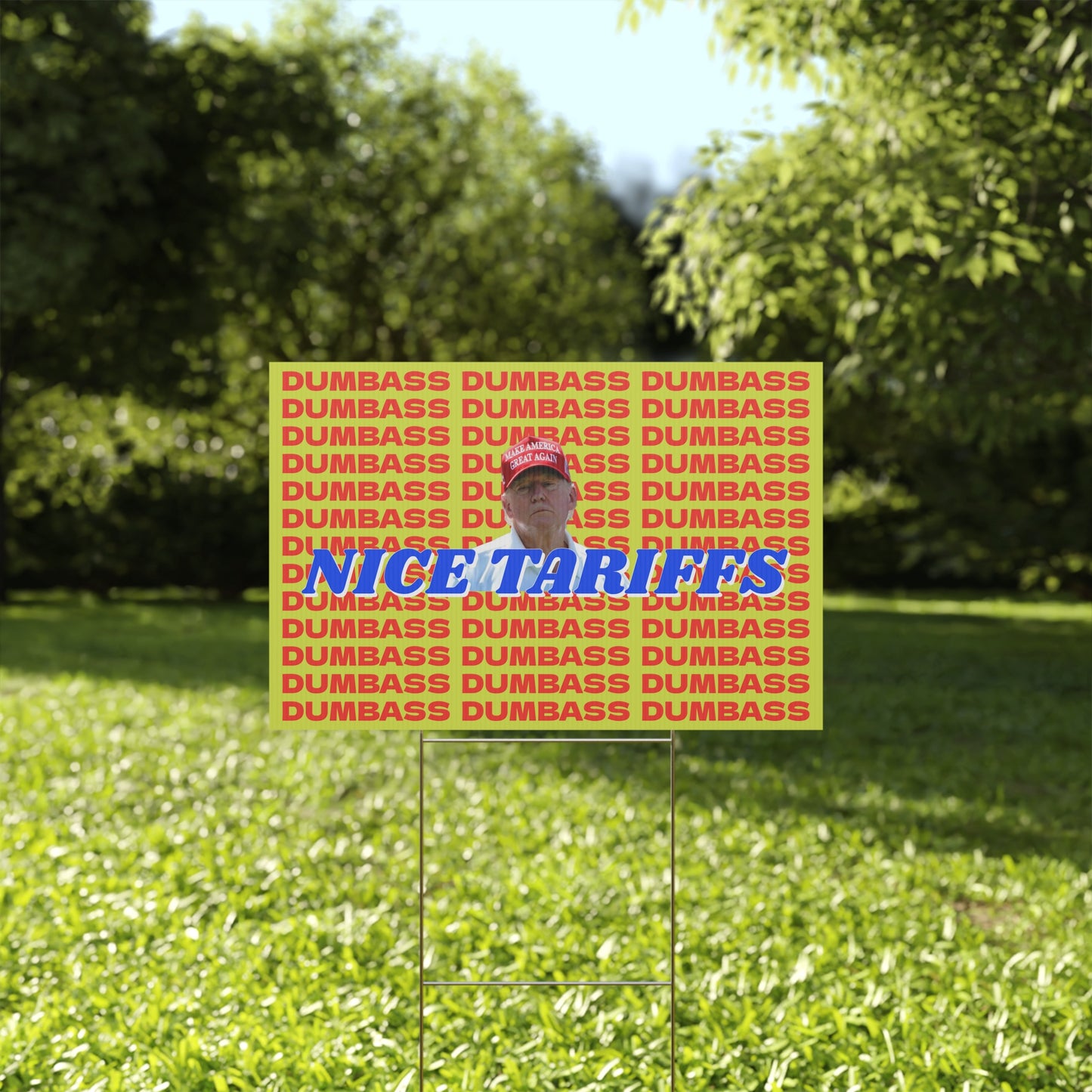 NICE TARIFFS DUMBASS PROTEST SIGN